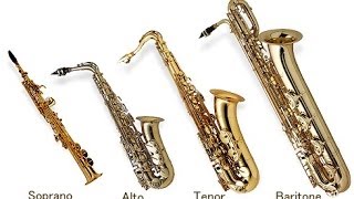 types of saxophones [upl. by Eintroc]