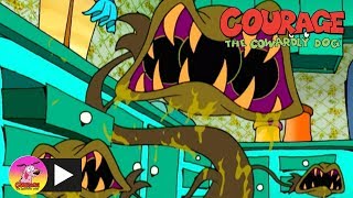 Courage the Cowardly Dog  Man Eating Plants  Cartoon Network [upl. by Michaela]