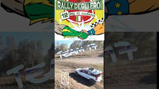 RALLY DEGLI EROI TEAM 17 shorts avata djiavata insta360 dji insta drone rally [upl. by Heller]