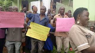 Sironko Coffee farmers of Kalaa Mugosi entertaining UCDA officers [upl. by Avat]