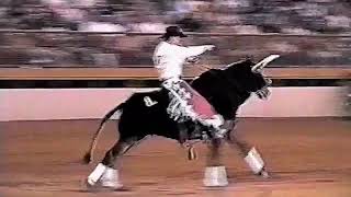 2000 National Western Stock Show Freestyle Reining  Jason Richards [upl. by Lazaruk]