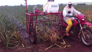 Motoagro  Passando herbicida  1 hectare por hora [upl. by Jablon]