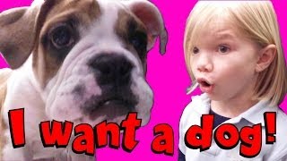 I Want a Dog​​​ Jillian amp Addie of Babyteeth4​​​ [upl. by Kellia]