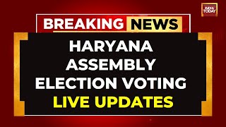 LIVE Haryana Assembly Elections Voting LIVE  MultiCornered Electoral Battle In Haryana [upl. by Mall]