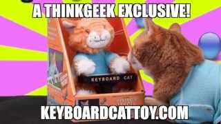 The Keyboard Cat Toy Is OUT NOW [upl. by Eniwtna]