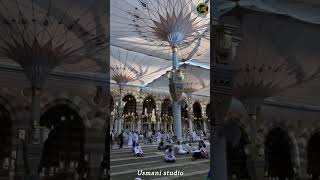 namaz best ibadah mizanurrahmanazhari trending shortfeed ytshorts love [upl. by Eerrehs]