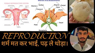 Reproduction in Plants JKSSB JKpolice SSC  CDS AFCAT [upl. by Ruthy]