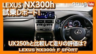 レクサスNX300h試乗レポート！UX250hと比較して走りの評価は？  LEXUS NX300h F SPORT TEST DRIVE 2019 [upl. by Azmuh146]