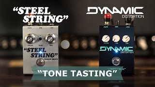 quotTone Tastingquot Dynamic Distortion vs Steel String feat Corey Congilio [upl. by Aeli]