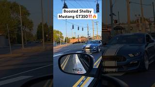 Boosted Shelby Mustang GT350 [upl. by Franckot769]