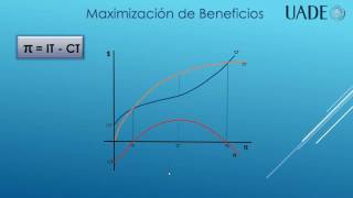 Maximización de Beneficios [upl. by Atiekahs]