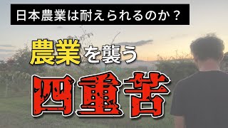 日本農業は耐えられるのか？農業を襲う『四重苦』 [upl. by Alcus]