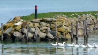 ISOLA MAGGIORE del LAGO TRASIMENO Umbria  Full HD [upl. by Llezniuq361]