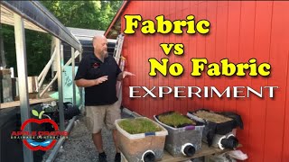 Testing French Drain Scenarios To Find OutFabric or No Fabric Which Is Best  Dr Drainz [upl. by Newfeld]