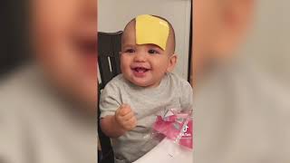 Try Not To Laugh  Babies vs Cheese  Tiktok Compilation  How to Make a Baby Stop Crying [upl. by Ynnek]