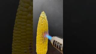 Powerful Lighter vs Corn [upl. by Eenram]