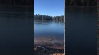 Video of Wolfs Den RV Campground Resort amp Tavern WI from Judy B [upl. by Pich]