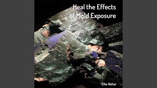 Heal the Effects of Mold Exposure [upl. by Plafker538]