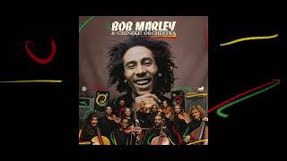 Is This Love – Bob Marley and The Chineke Orchestra Visualizer [upl. by Hgielyak]