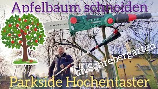 Apfelbaum schneiden im Kleingarten  Parkside Akku Hochentaster Test  parkside schrebergarten [upl. by Applegate]