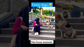 dogs and cats 😂 new clips shorts dogs cat dog funny [upl. by Kerred]