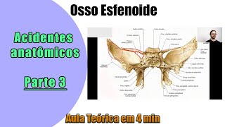 Osso Esfenoide  Aula TeÃ³rica 3 Anatomia  Anatomia Humana [upl. by Llewej348]