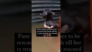 The most heart warming story 🥹saveastray animalwelfare [upl. by Salomie626]