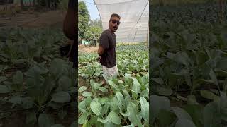 Be smart Do natural farming [upl. by Revell]