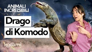 Cosa succede se ti morde il drago di Komodo Quanto è velenosa questa lucertola gigante [upl. by Argyle506]