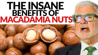 The Insane Health Benefits of Macadamia Nuts  Dr Steven Gundry [upl. by Atikkin]