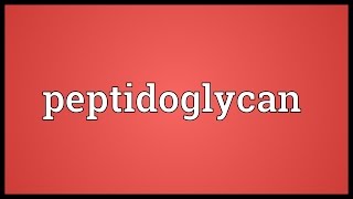 Peptidoglycan Meaning [upl. by Rock975]