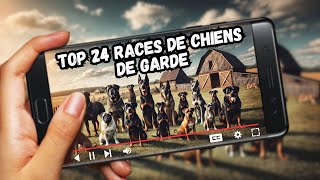 🐕 Top 24 Chiens de Garde  Les Meilleures Races pour Protéger Votre Foyer 🏠 [upl. by Annait627]