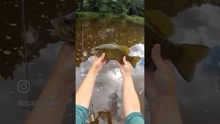 Top Water Fishing Frenzy [upl. by Kym]