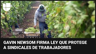 Gobernador de California firma una ley que fortalece derechos sindicales de trabajadores agrícolas [upl. by Bryant]