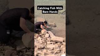 Catching fish with bare hands fishinglife fishtank fisherman fishvideo river aquarium catfish [upl. by Lenod]