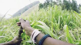 Hanthana  The Paradise of Love  GoPro video [upl. by Zeralda966]