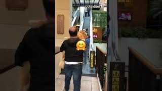 Group of Dog Owners Carry Golden Retrievers Up Escalator  Shorts [upl. by Yzus]