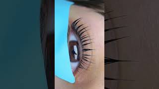 Glueless Lash Lift Shields Super Soft and Flexible [upl. by Saimon786]