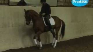 Dressage  Comment faire le reculer  Sport  Equitation [upl. by Eberta]