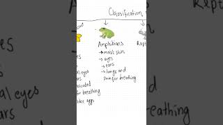 Amphibians biology amphibian science frog [upl. by Lehsar]