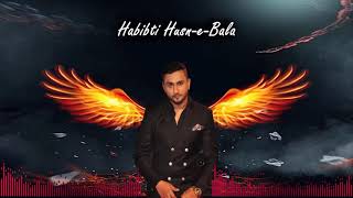 🎵 New Punjabi Song 2024 Alert quotHabibtiquot Full Lyrical Video  Honey 30  Yo Yo Honey Singh 🎶🔥 [upl. by Bauer]