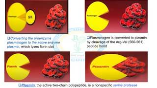 THROMBOLYTIC DRUGS [upl. by Annia]