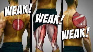 3 Muscle Imbalances SLOWING Your Gains Stop Neglecting These [upl. by Asilej687]