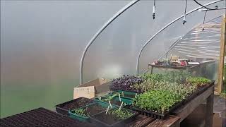 Fogger System for Propagation [upl. by Juliane]