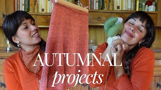 My wild knitting podcast  Ep 36  Autumn projects [upl. by Kathlin]