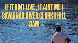 IF IT AINT LIVE IT AINT ME SAVANNAH RIVER CLARKS HILL DAM [upl. by Hcirdeirf11]