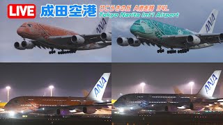 【LIVE】20240217 Tokyo NARITA Intl Airport Plane Spotting 成田空港 [upl. by Selma]