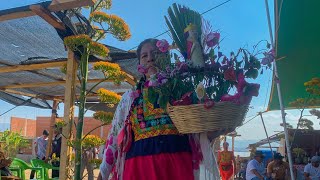 FESTIVAL DEL MEZCAL EN OAXACA  San Luis Amatlán zona de mezcaleros Vivelo [upl. by Thibaut]