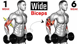 7 BEST Exercises for WIDER BICEPS [upl. by Elizabeth933]