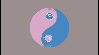 Chinese Wisdom with ShaoLan – Episode 3 Yin Yang [upl. by Einhoj434]